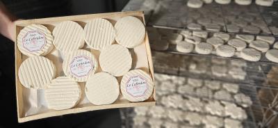 aveyron lot circuits courts produits locaux massification regroupement